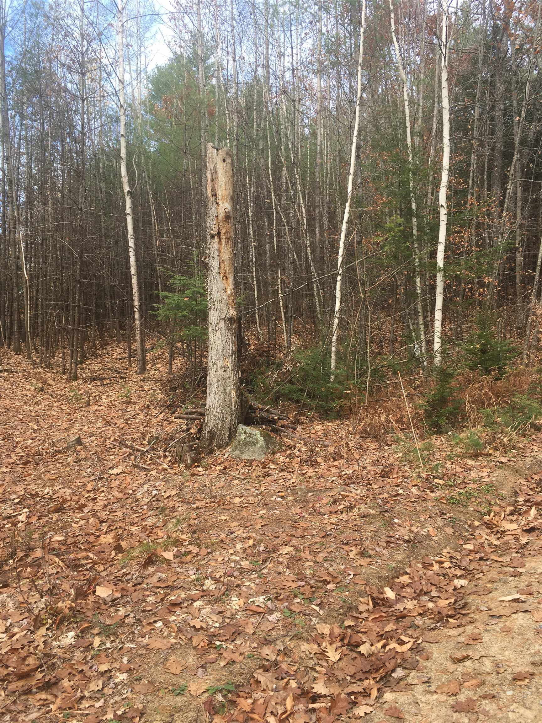 31 Sunset Road Alexandria, NH 03222 - Photo 6 of 7