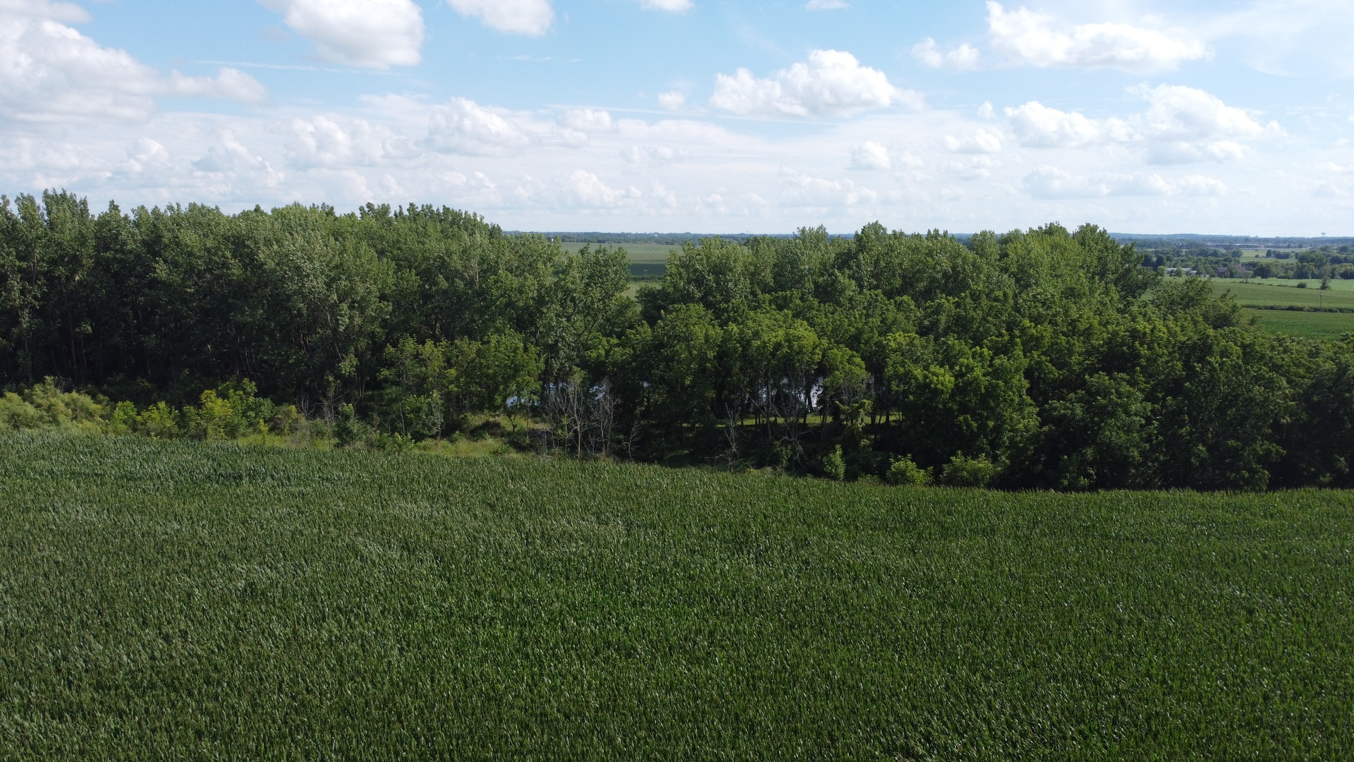 0 Coyne Station Road Huntley, IL 60142 - Photo 11 of 11 a view of a green field