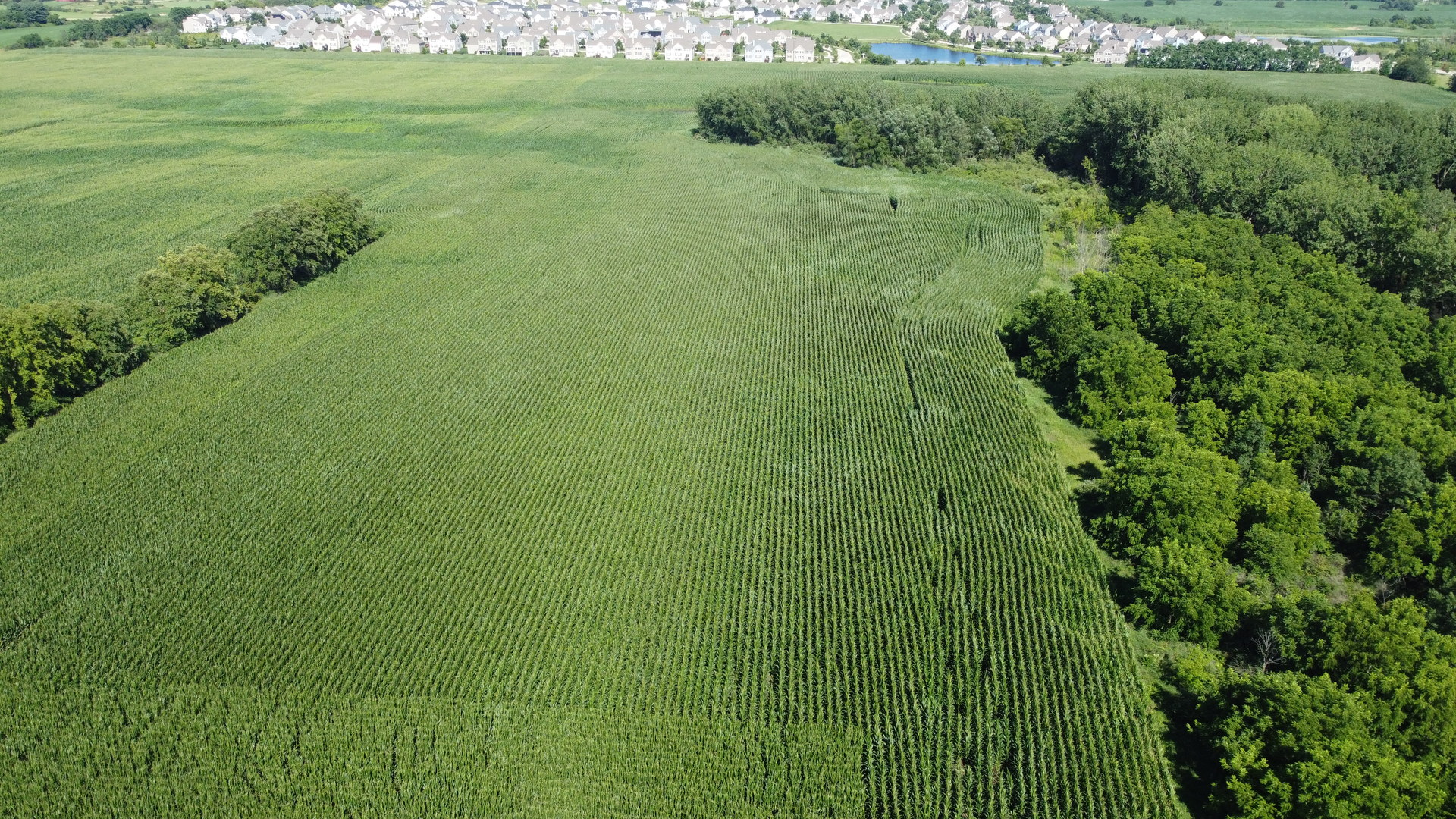 0 Coyne Station Road Huntley, IL 60142 - Photo 3 of 11 a view of a lush green space