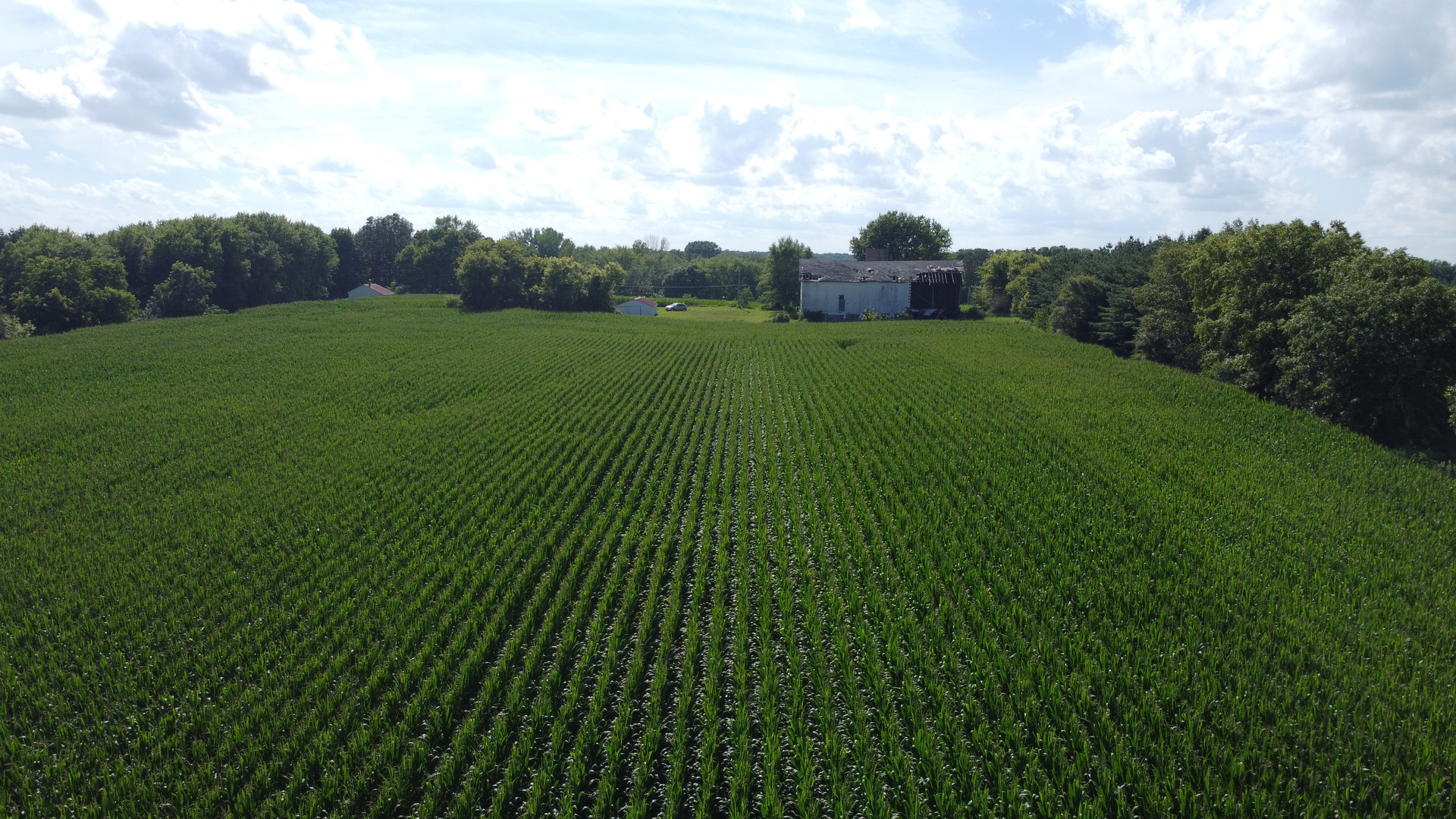 0 Coyne Station Road Huntley, IL 60142 - Photo 4 of 11 a view of a grassy field with trees in the background