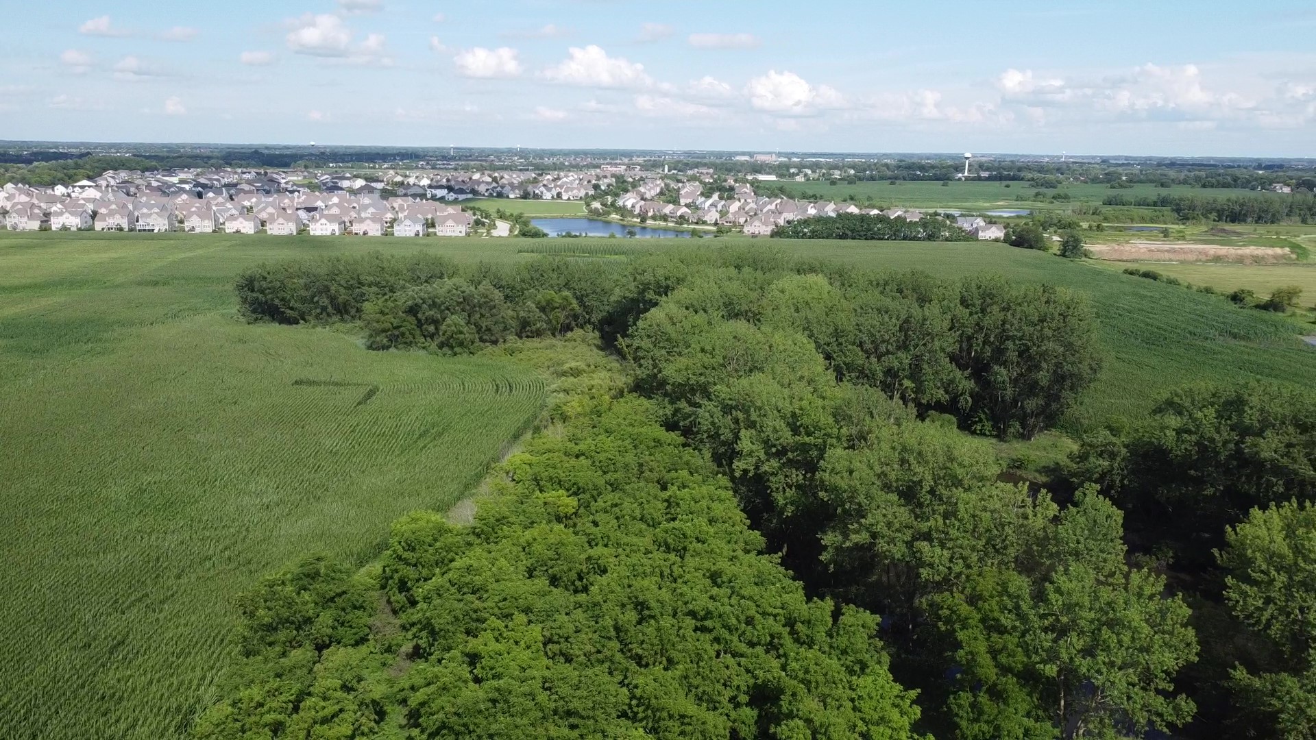 0 Coyne Station Road Huntley, IL 60142 - Photo 5 of 11 a view of a green field with lots of green space