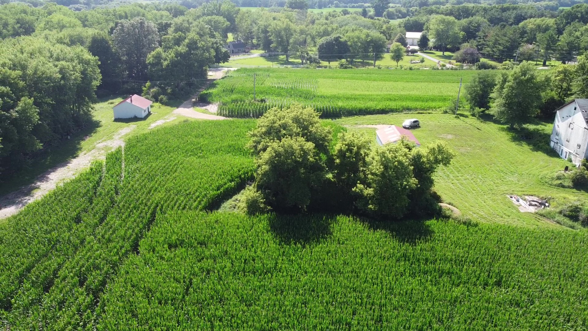 0 Coyne Station Road Huntley, IL 60142 - Photo 6 of 11 a lush green field with lots of green space