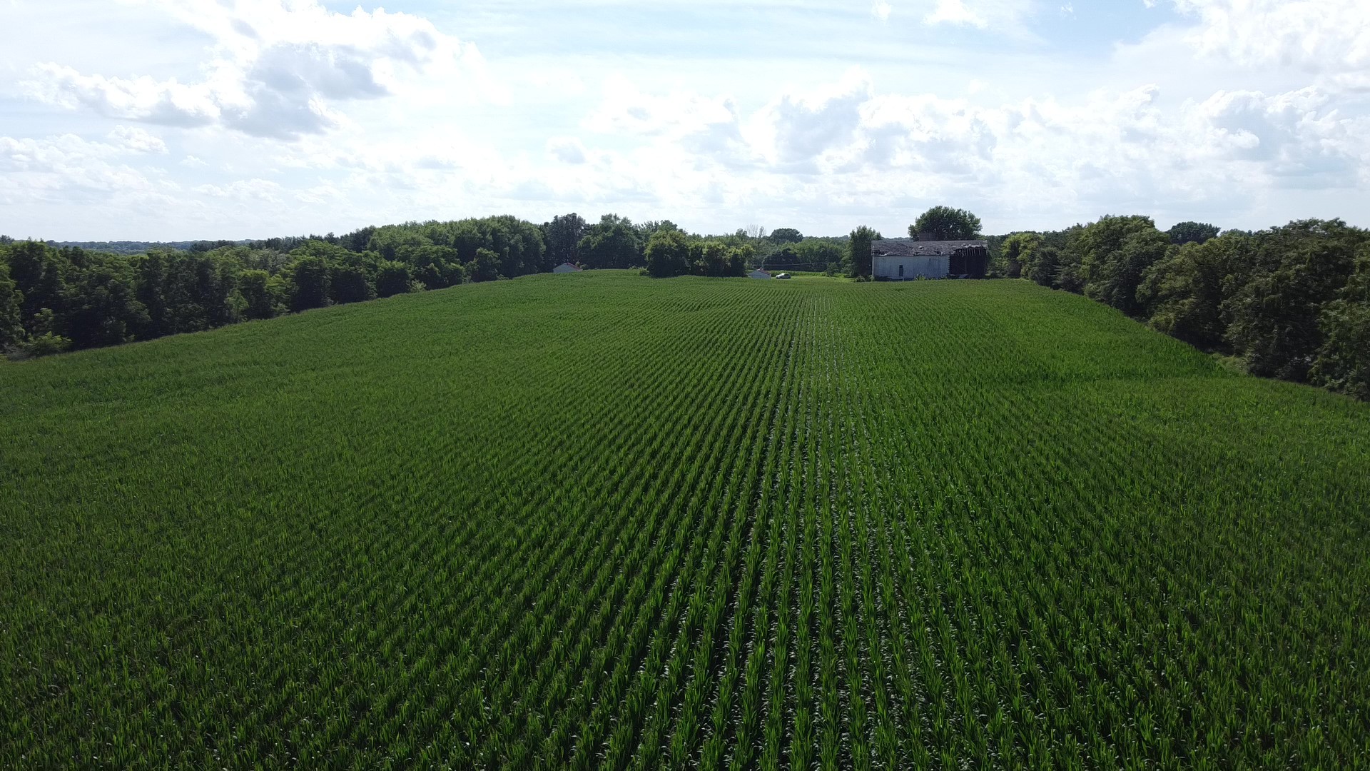 0 Coyne Station Road Huntley, IL 60142 - Photo 8 of 11 a view of a field with grass and a houses