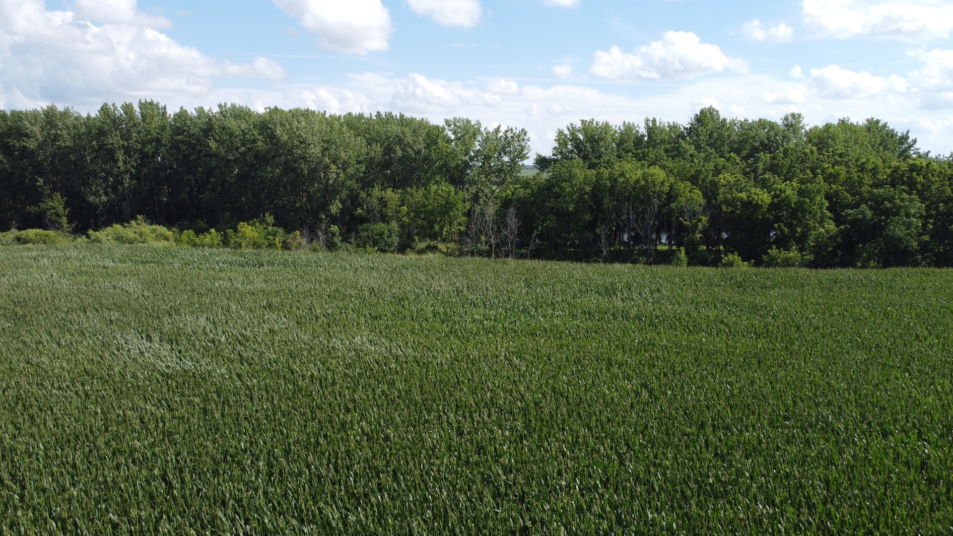 0 Coyne Station Road Huntley, IL 60142 - Photo 10 of 11 a view of a grassy field with trees in the background