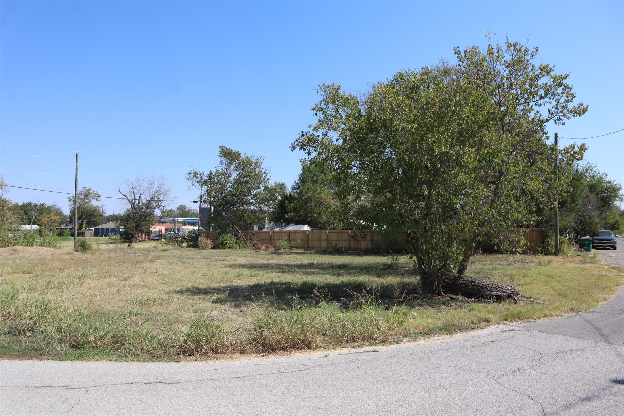 1018 West 1st Street Taylor, TX 76574 - Photo 13 of 17 a view of a yard with large trees