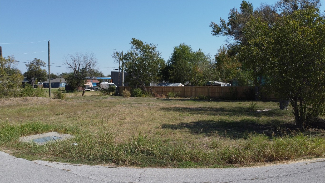 1018 West 1st Street Taylor, TX 76574 - Photo 2 of 17 a view of backyard with green space