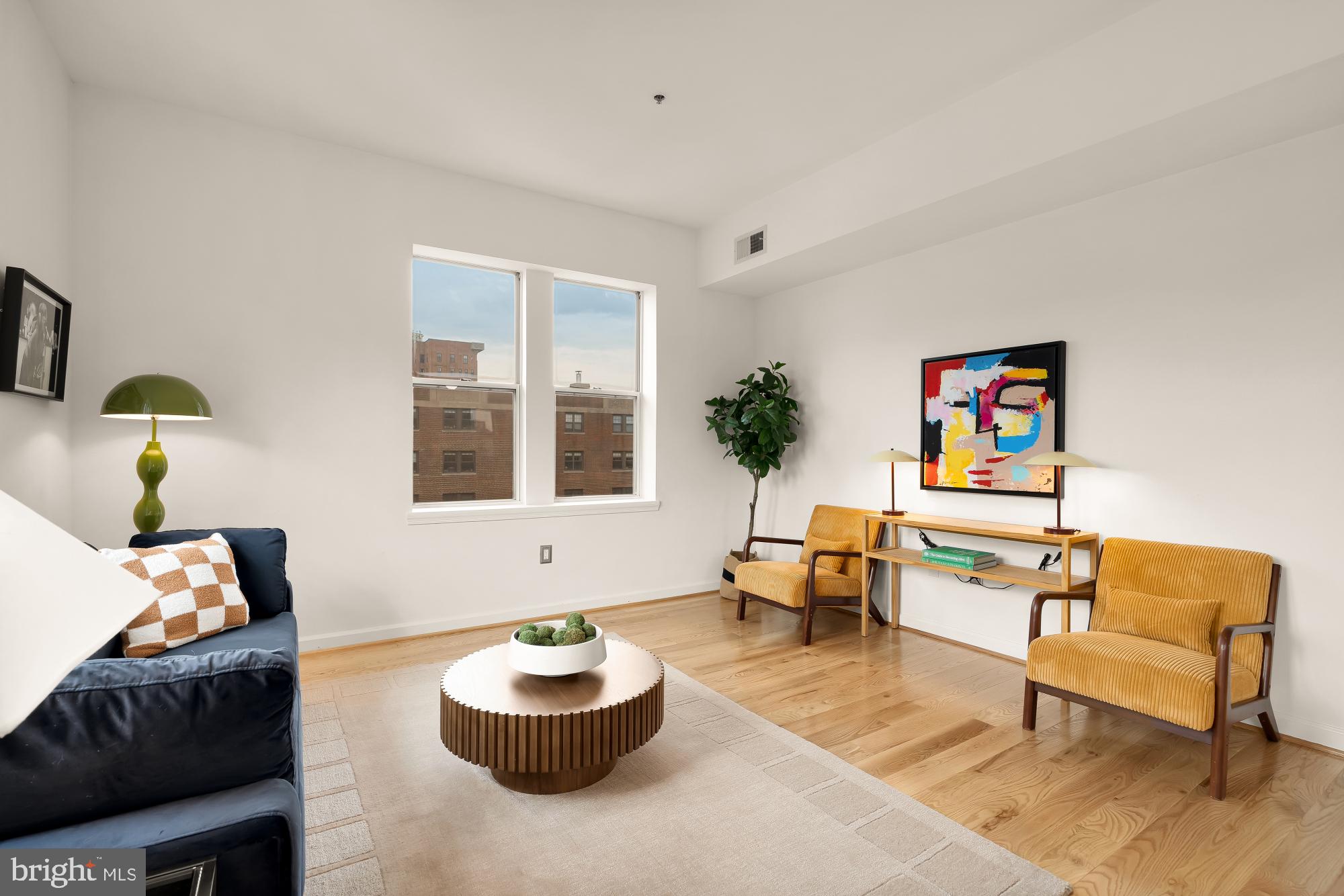 1619 R Street Northwest, Unit 606 Washington, DC 20009 - Photo 7 of 25 a living room with furniture and a potted plant