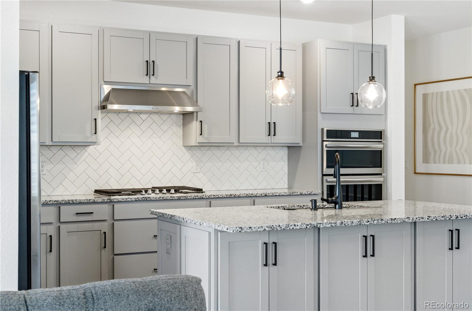 521 Felicity Loop Castle Rock, CO 80109 - Photo 5 of 16