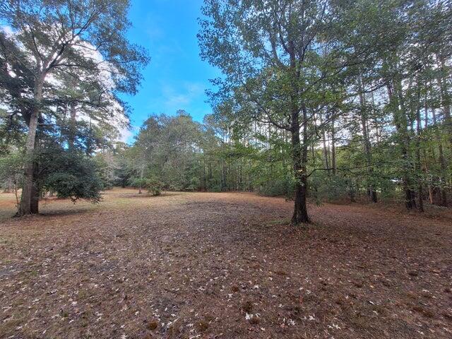 0 Ashley River Road Summerville, SC 29485 - Photo 1 of 3 Ashley River Road Parcel