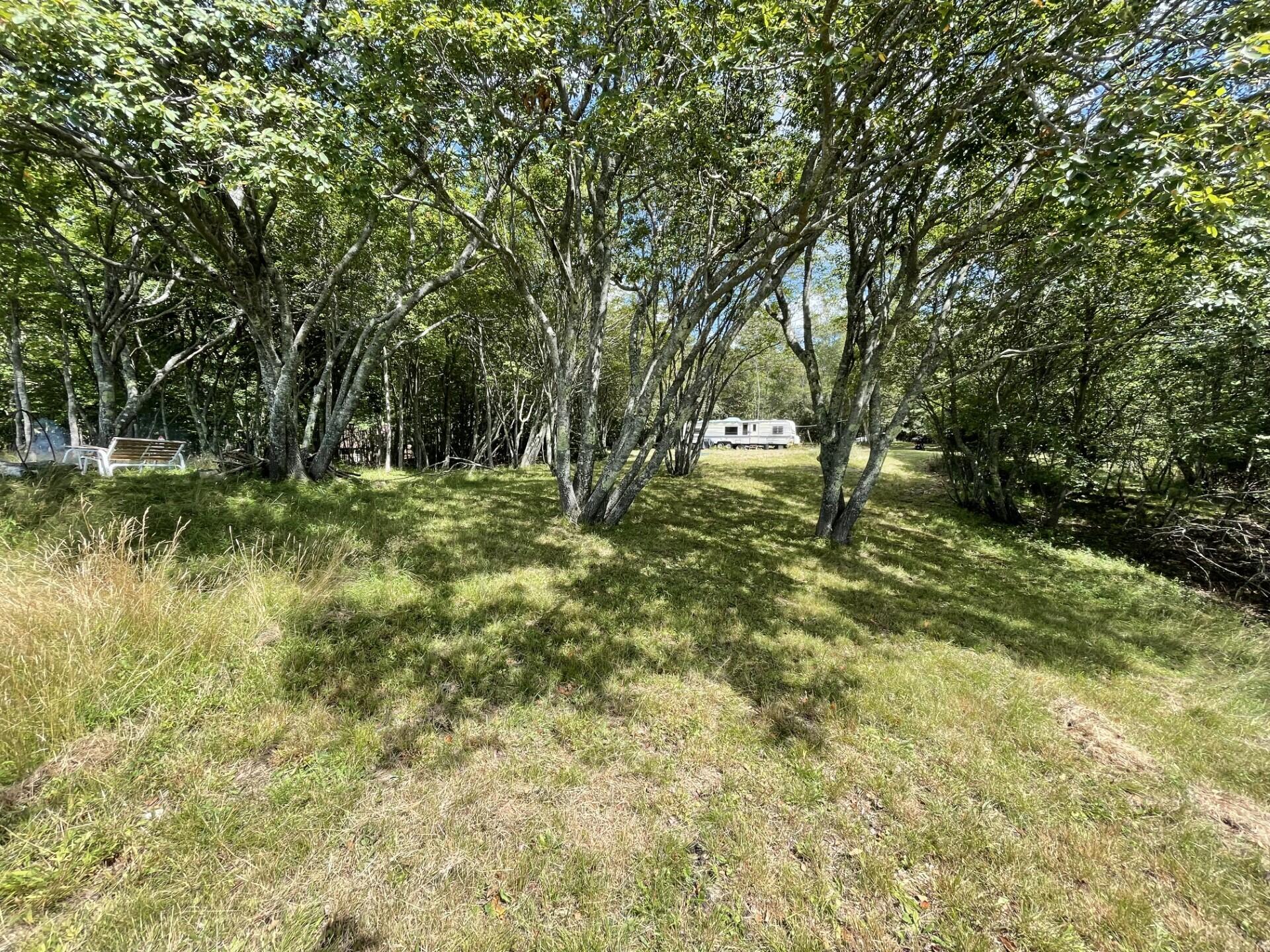 81 Ficketts Point Road Milbridge, ME 04658 - Photo 11 of 14 thumbnail_IMG-2483
