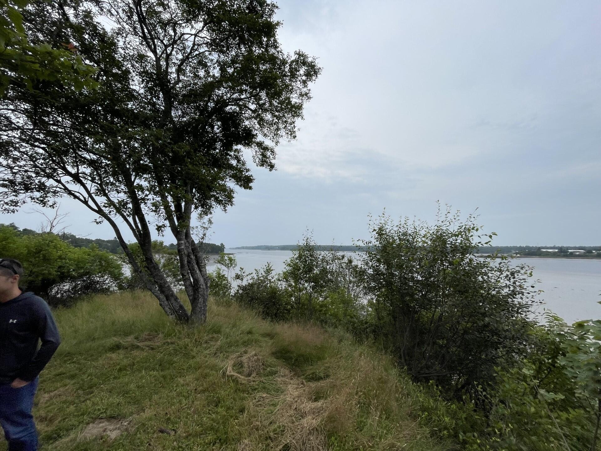 81 Ficketts Point Road Milbridge, ME 04658 - Photo 5 of 14 thumbnail_IMG-2463