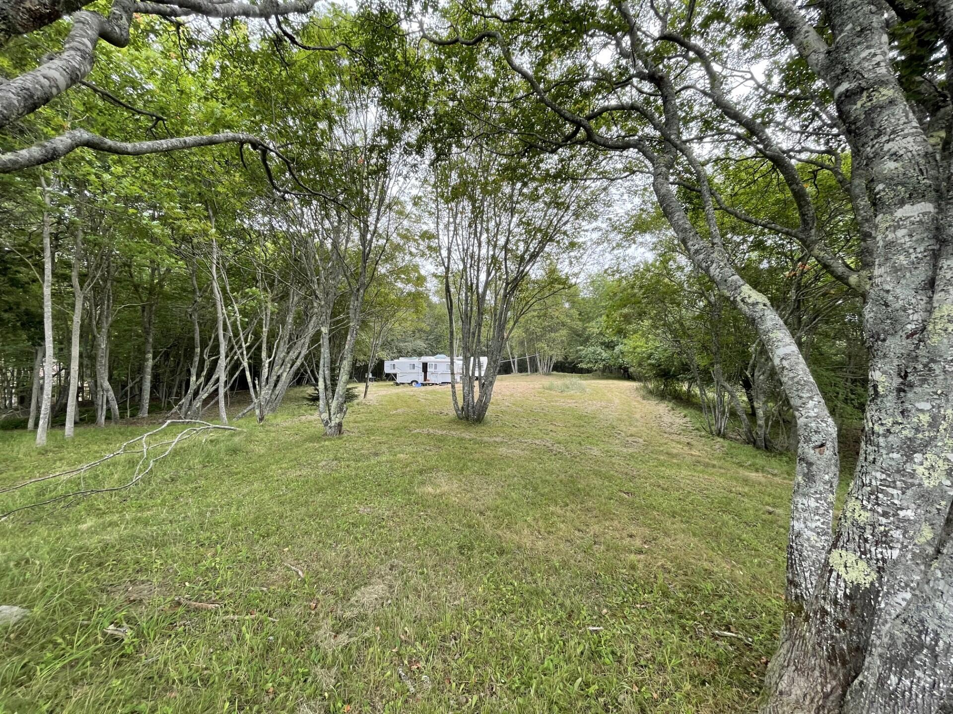 81 Ficketts Point Road Milbridge, ME 04658 - Photo 6 of 14 thumbnail_IMG-2464