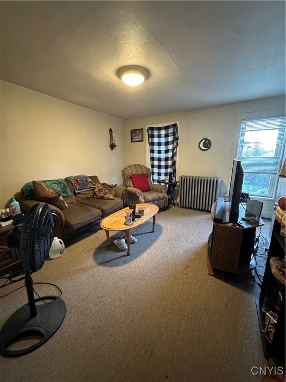 96 North Fulton Street Auburn, NY 13021 - Photo 16 of 22