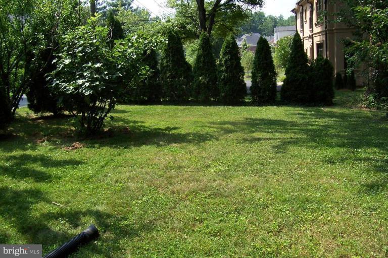 Back yard