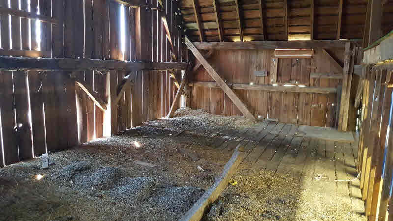 3086 Rhodes Road Rhodes, MI 48652 - Photo 6 of 24