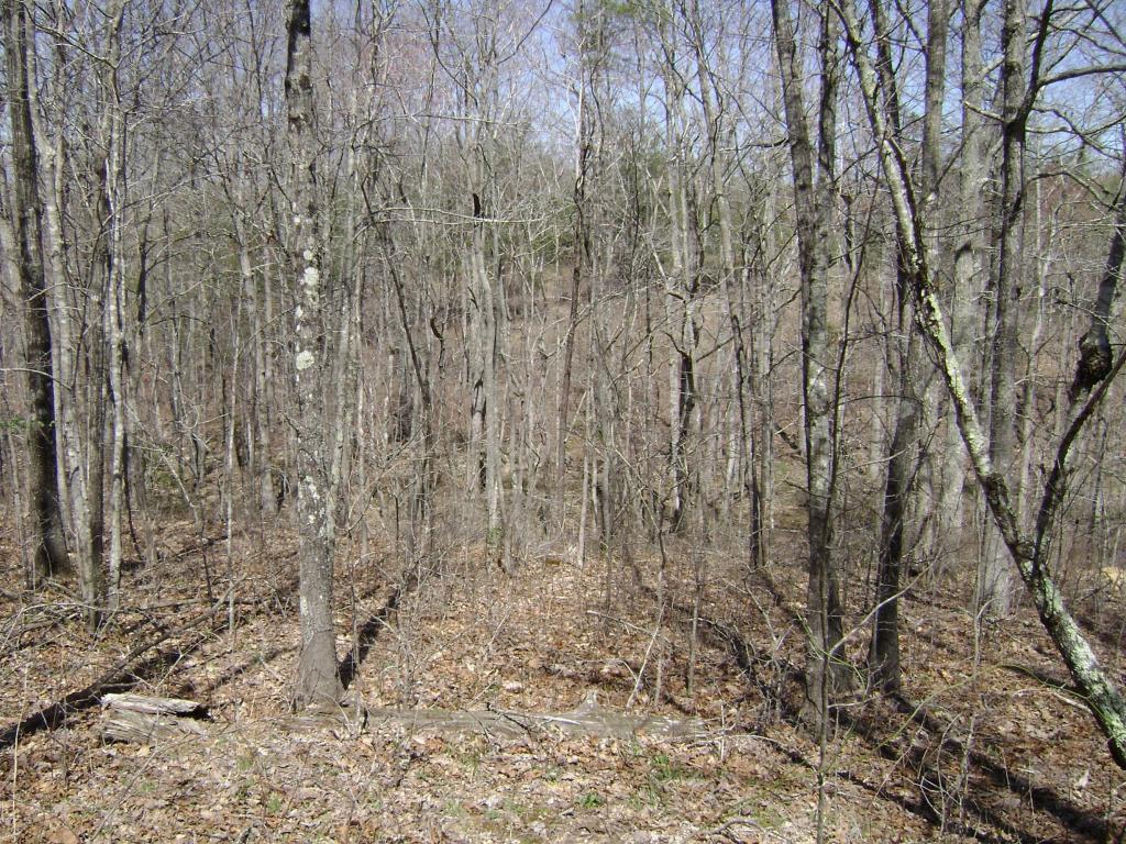 6153 Daus Mountain Road Dunlap, TN 37327 - Photo 1 of 15 59_994338_4_1488999151
