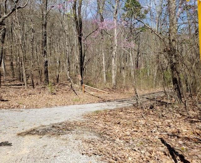 6153 Daus Mountain Road Dunlap, TN 37327 - Photo 2 of 15 IMG_6420