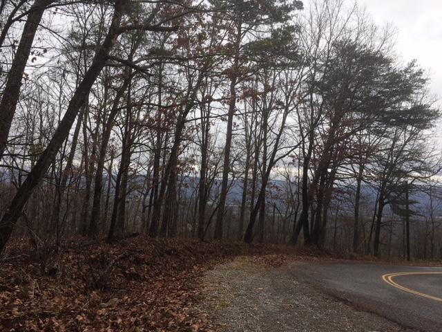 6153 Daus Mountain Road Dunlap, TN 37327 - Photo 11 of 15 IMG_6670