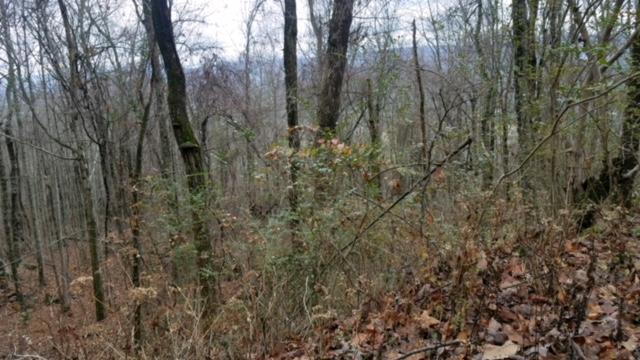 6153 Daus Mountain Road Dunlap, TN 37327 - Photo 13 of 15 IMG_6672