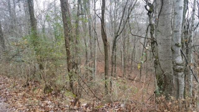 6153 Daus Mountain Road Dunlap, TN 37327 - Photo 14 of 15 IMG_6673