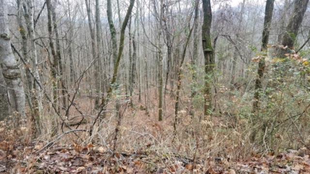 6153 Daus Mountain Road Dunlap, TN 37327 - Photo 15 of 15 IMG_6674