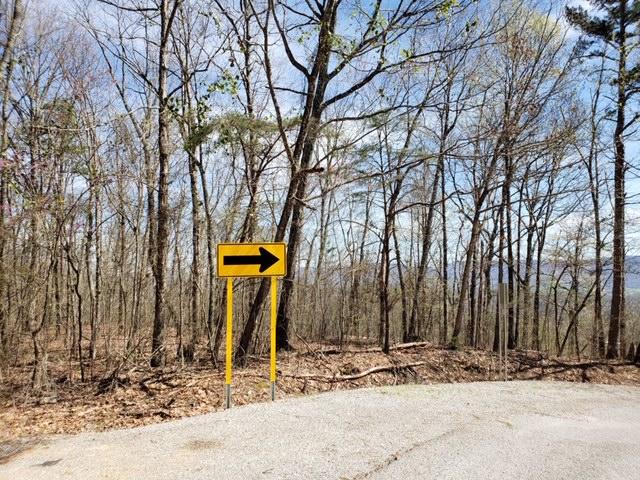 6153 Daus Mountain Road Dunlap, TN 37327 - Photo 3 of 15 IMG_6422
