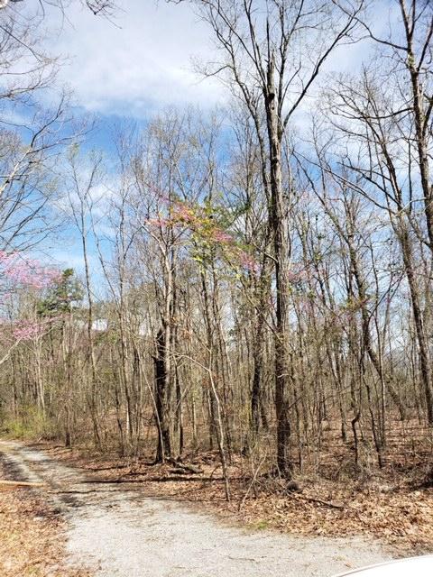 6153 Daus Mountain Road Dunlap, TN 37327 - Photo 5 of 15 IMG_6426
