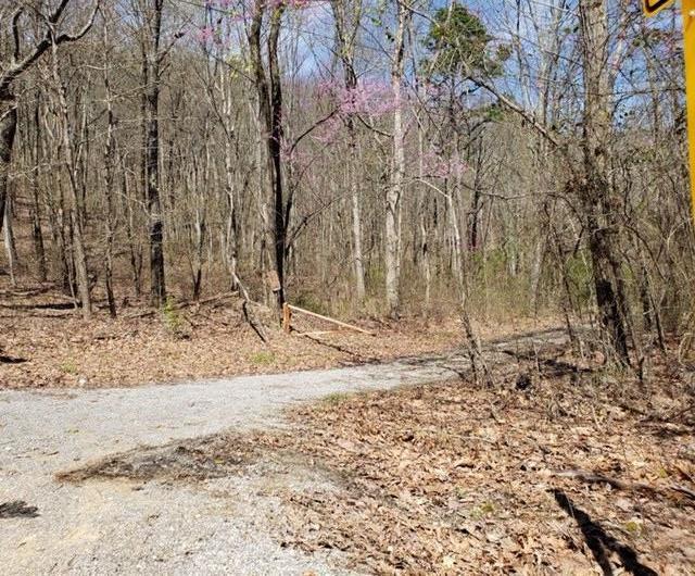 6153 Daus Mountain Road Dunlap, TN 37327 - Photo 6 of 15 IMG_6429