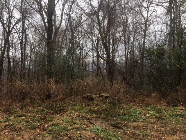 6153 Daus Mountain Road Dunlap, TN 37327 - Photo 7 of 15 IMG_6666
