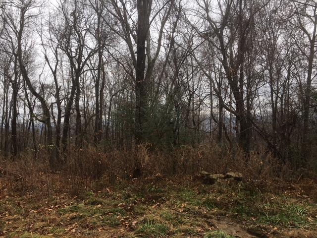 6153 Daus Mountain Road Dunlap, TN 37327 - Photo 8 of 15 IMG_6667