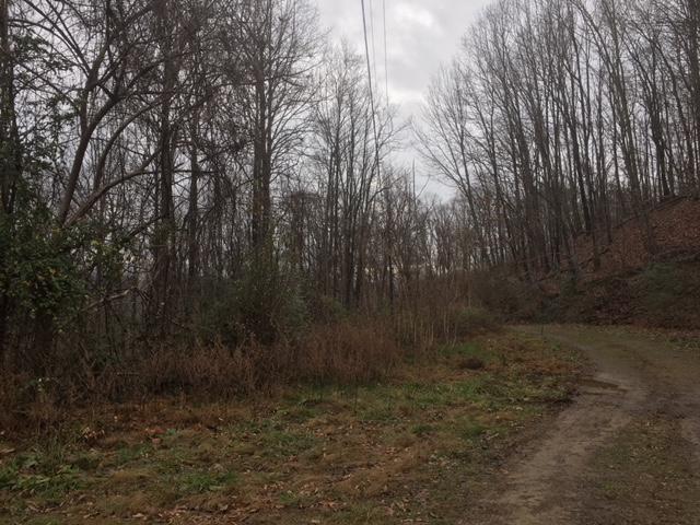 6153 Daus Mountain Road Dunlap, TN 37327 - Photo 10 of 15 IMG_6669