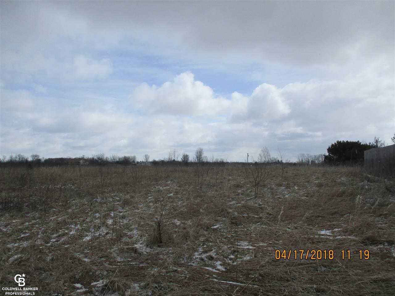 0 Arendt Road Yale, MI 48097 - Photo 10 of 11