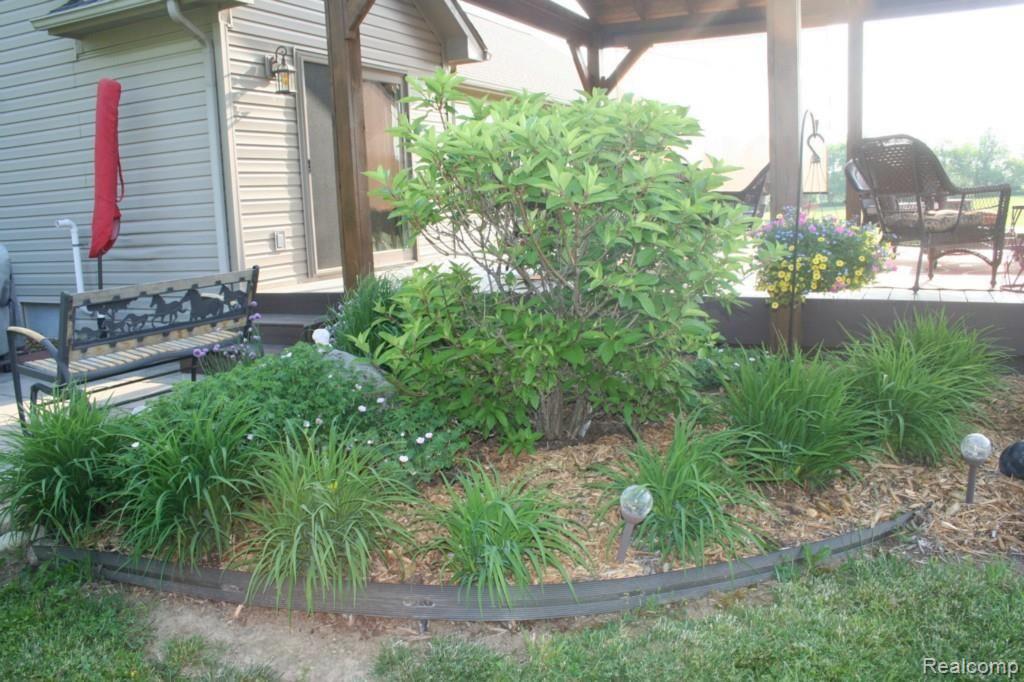5545 Lyons Road Attica, MI 48412 - Photo 20 of 26 IMG_5814.jpg