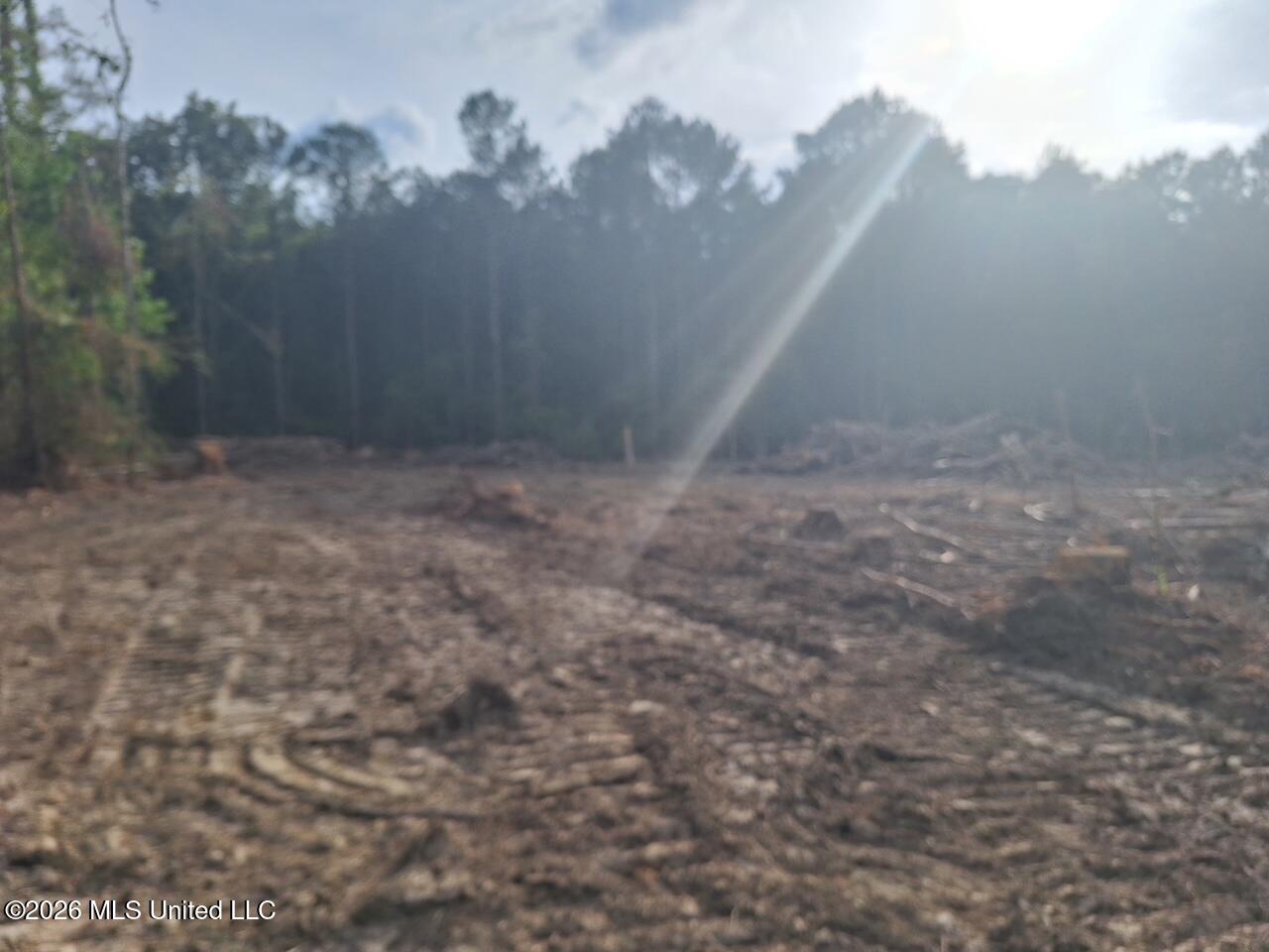 709 Old Pinola Braxton Road Braxton, MS 39044 - Photo 11 of 19 4882733622228114312