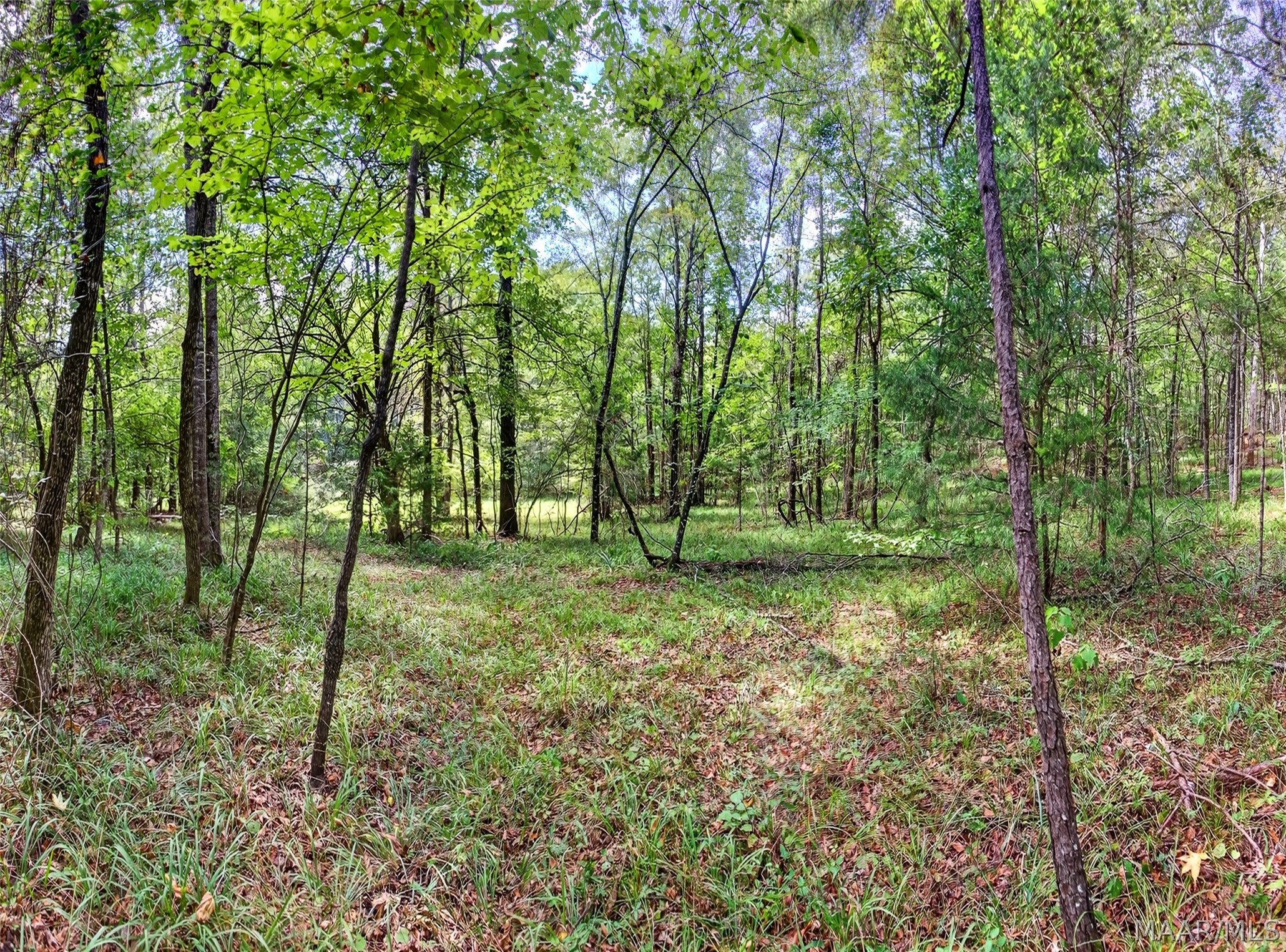 6782 Union Academy Ada Road Hope Hull, AL 36043 - Photo 58 of 64 Gallery Image 58