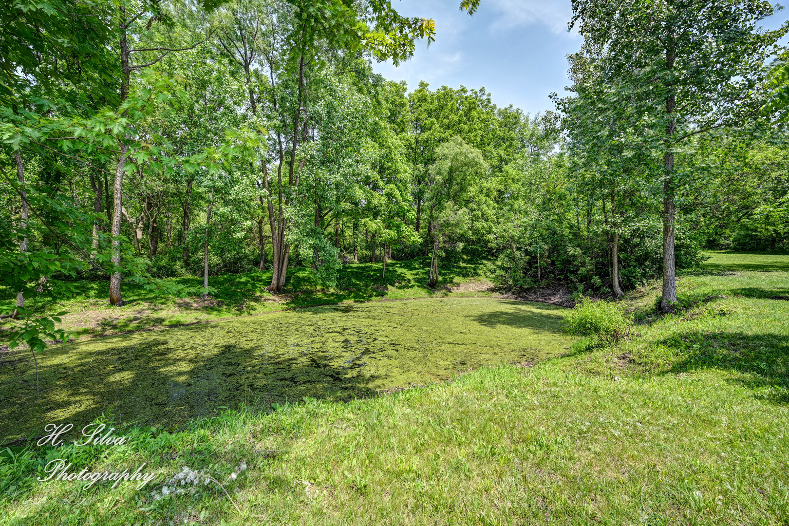 8106 Maple Street Marengo, IL 60152 - Photo 35 of 48 a view of outdoor space and yard