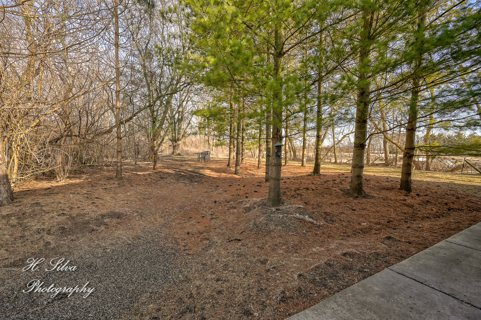 8106 Maple Street Marengo, IL 60152 - Photo 37 of 48 a view of outdoor space with trees