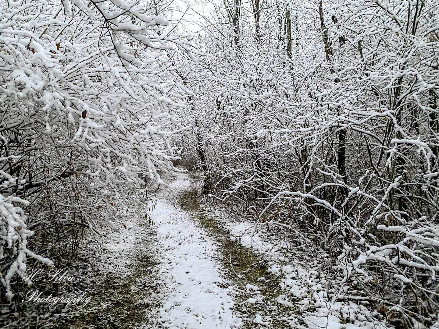 8106 Maple Street Marengo, IL 60152 - Photo 48 of 48 a view of a yard