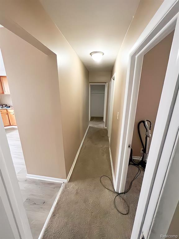217 Richter Street River Rouge, MI 48218 - Photo 39 of 47