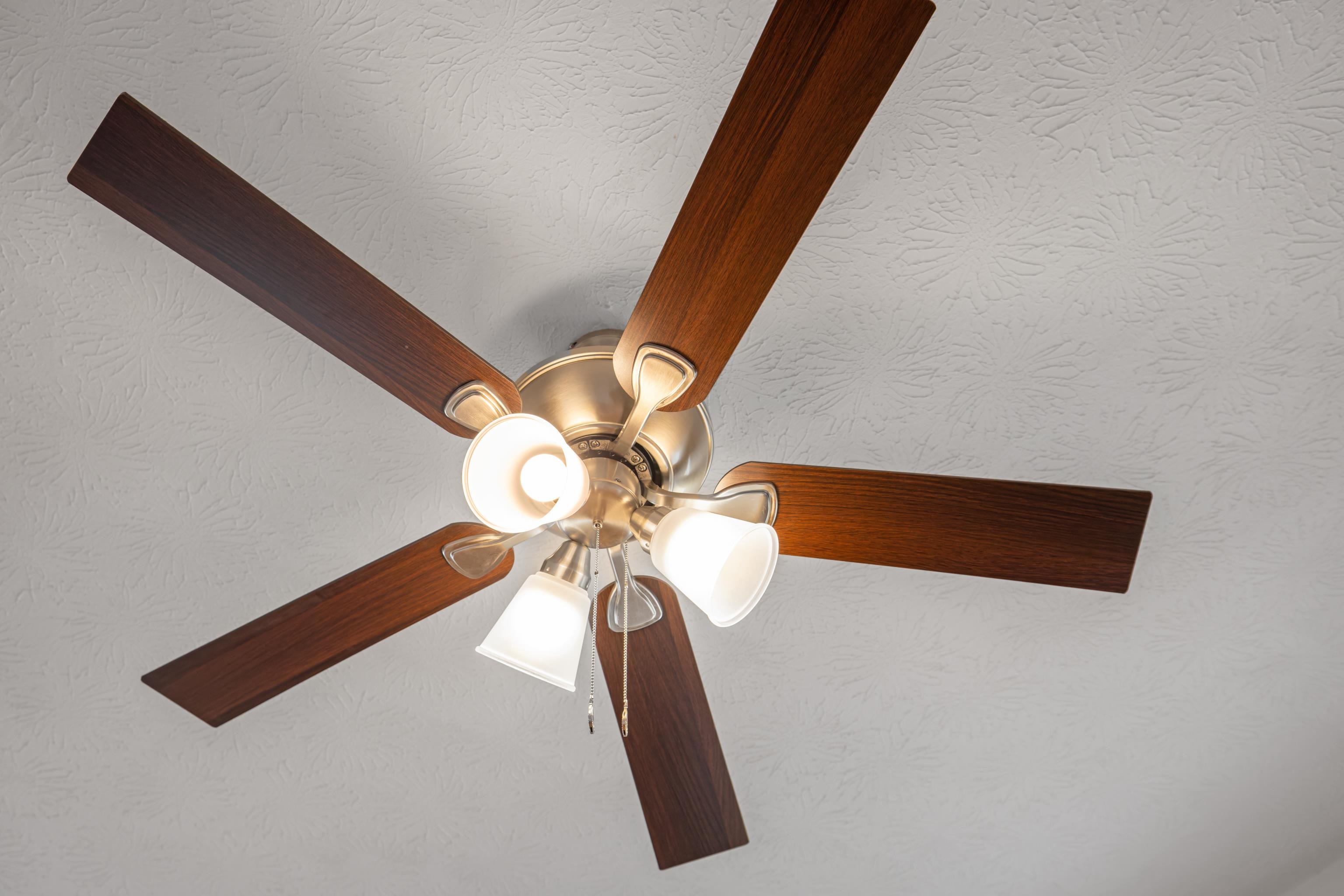 630 Battlefield Road Fort Defiance, VA 24437 - Photo 11 of 53