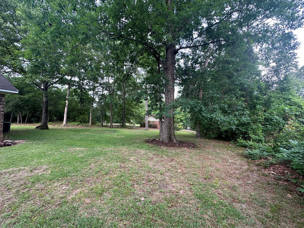 5884 Fish Road Dalzell, SC 29040 - Photo 38 of 42