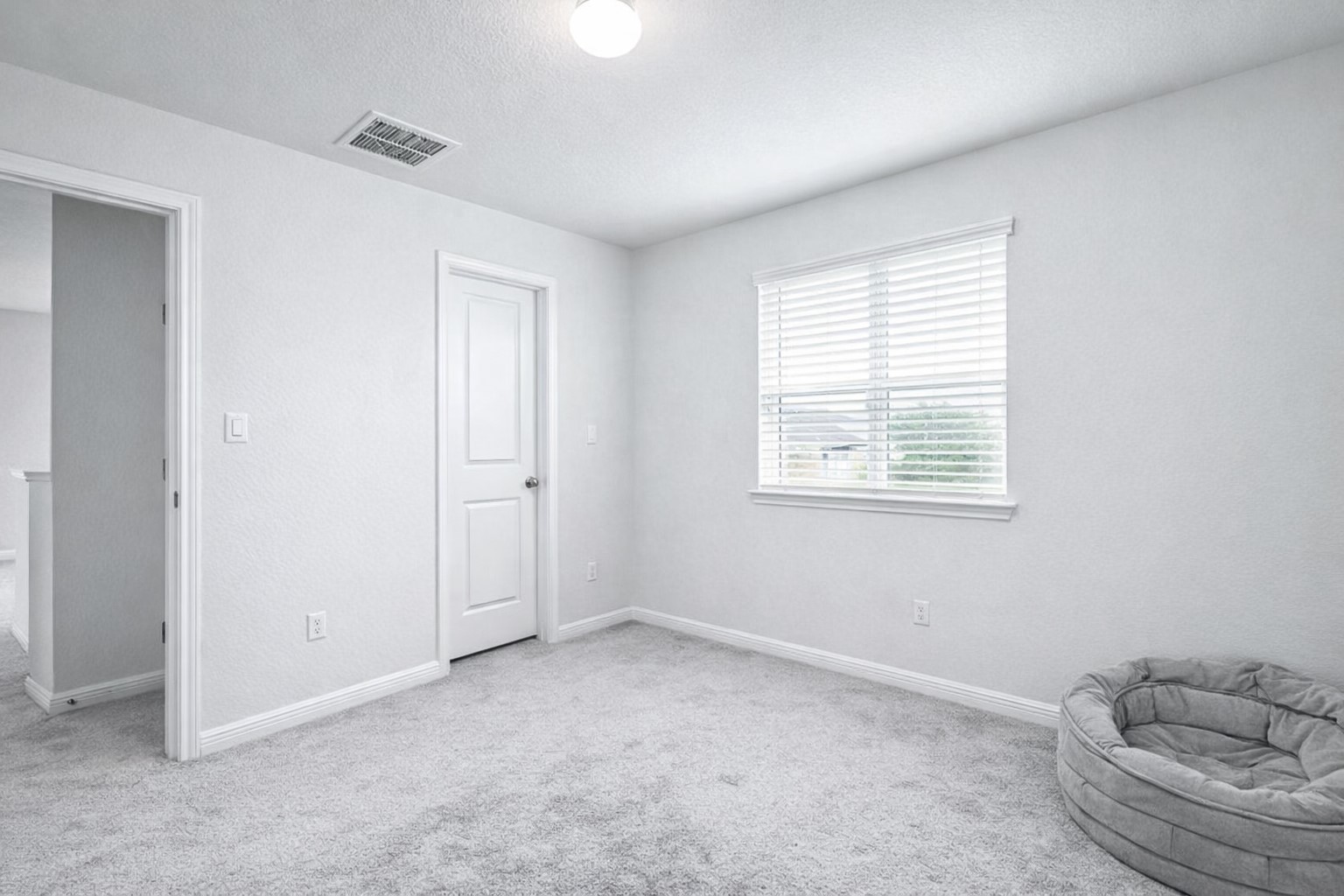 940 Paddock Lane Georgetown, TX 78626 - Photo 26 of 32 Light-filled room featuring plush grey carpeting, white trim, and a window with blinds