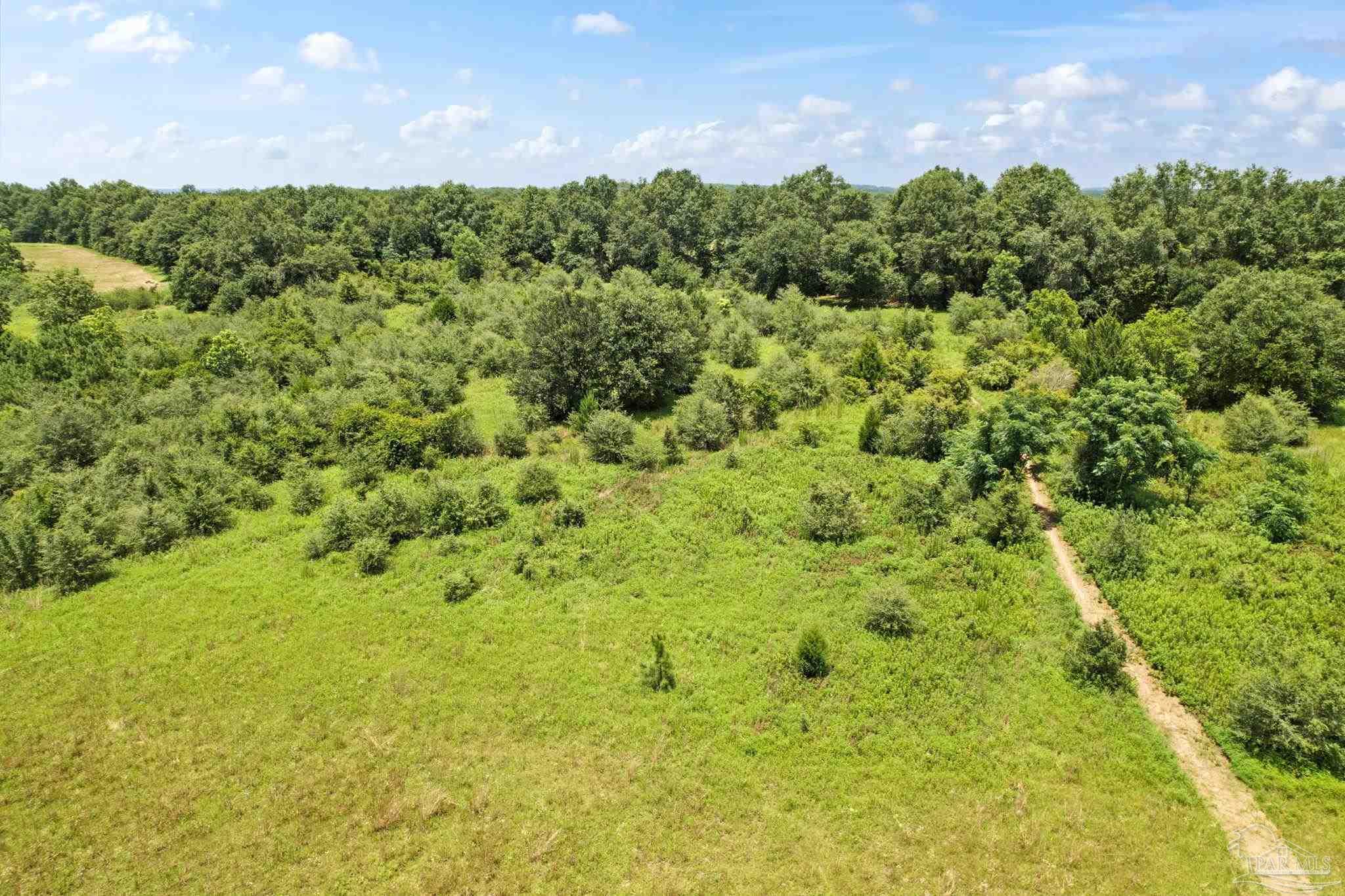 1495 McCauley Road Baker, FL 32531 - Photo 19 of 21