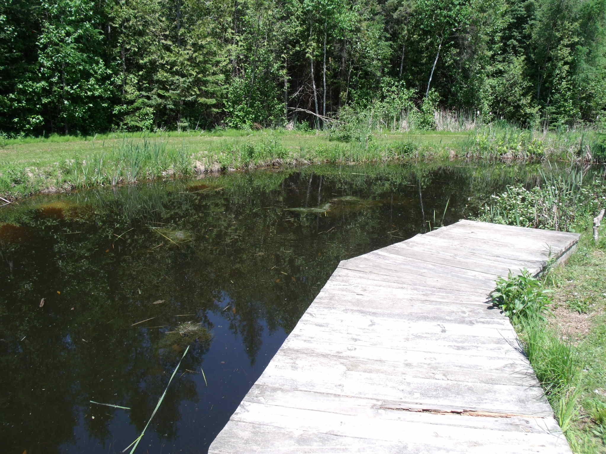 4750 Onaway Road Indian River, MI 49749 - Photo 46 of 102 Gallery Image 46