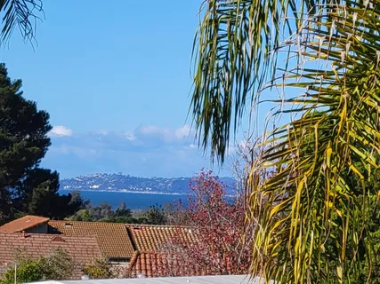 a view of a yard with plants and trees