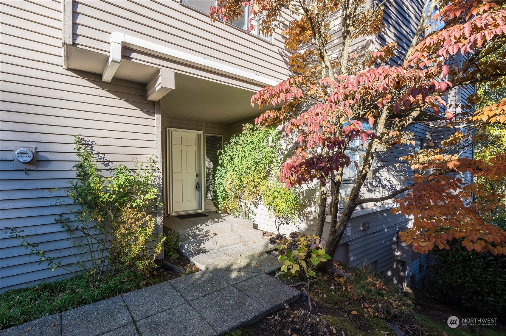 7250 Old Redmond Road, Unit C112 Redmond, WA 98052 - Photo 2 of 30 a pathway of a house with potted plants and large tree