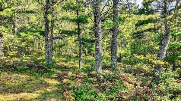 $284,900 | 9491 Sunset Road, Cable, WI 54821