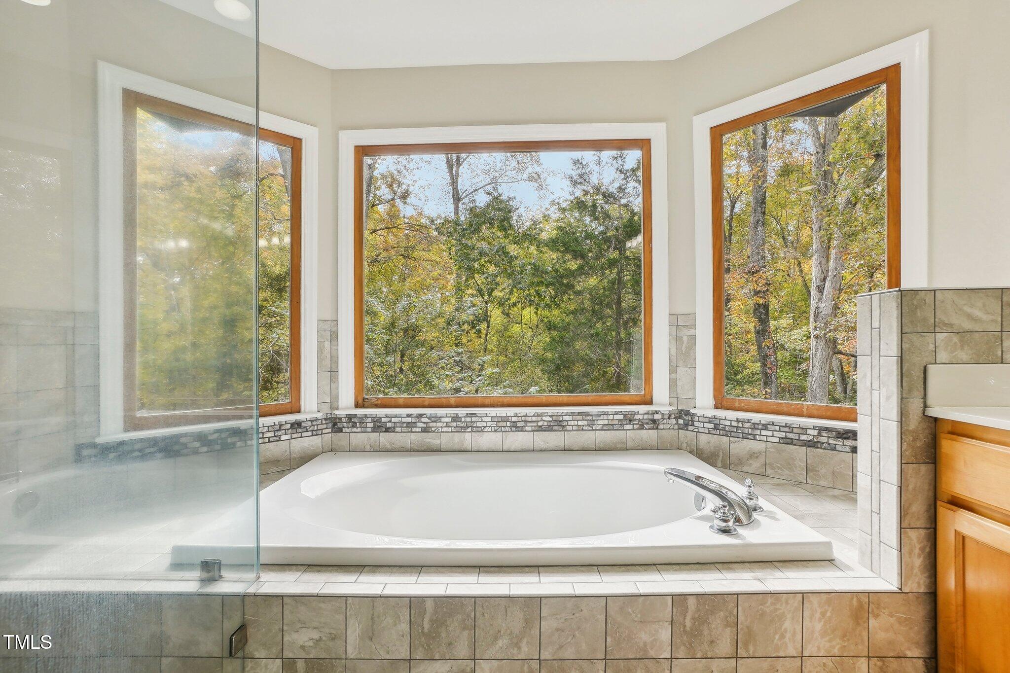7804 Dairy Ridge Road Mebane, NC 27302 - Photo 29 of 54 Primar bath