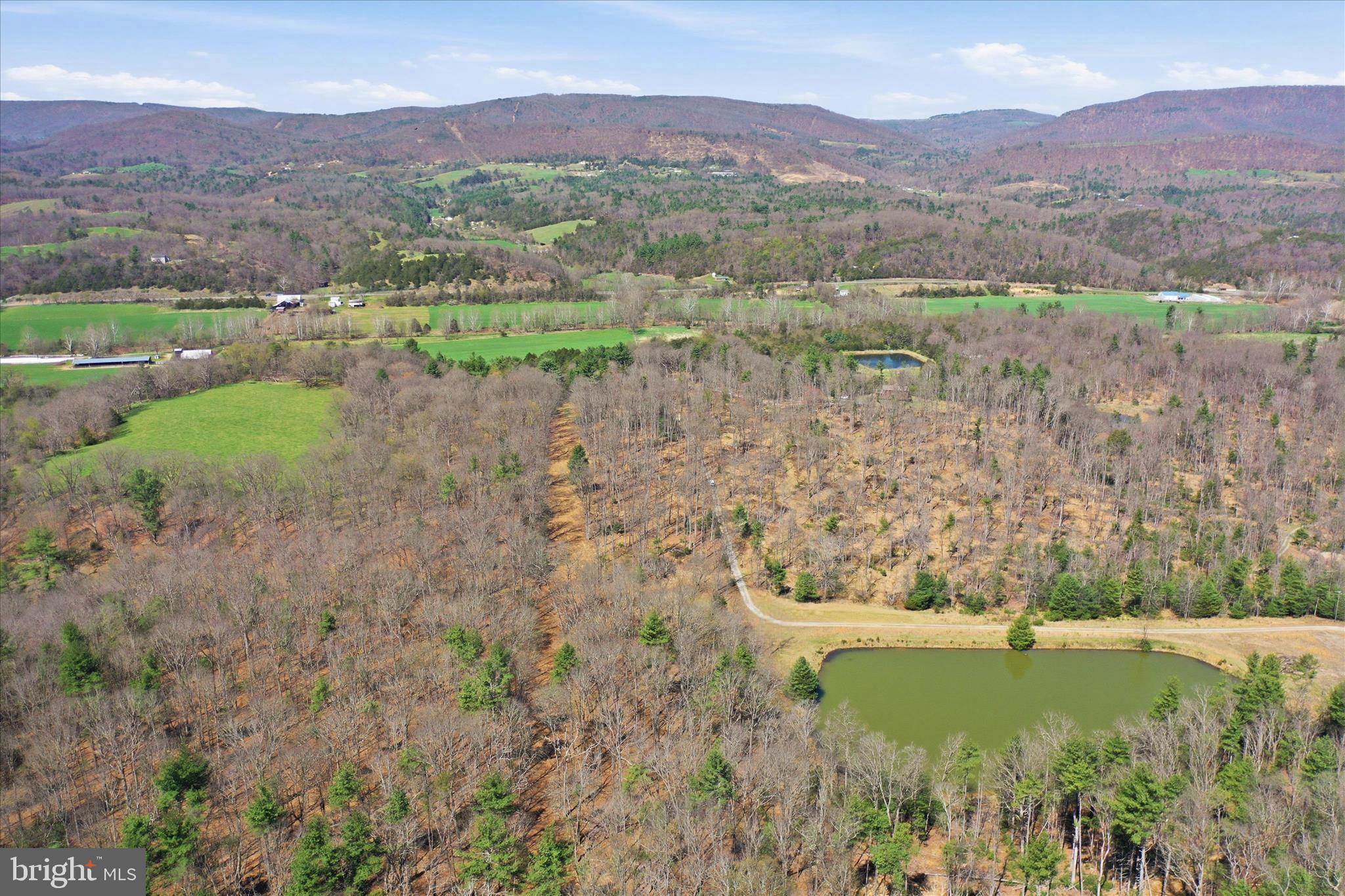56-acres 56-acres Falcon Road Mathias, WV 26812 - Photo 1 of 1 a view of a lush green hillside and houses