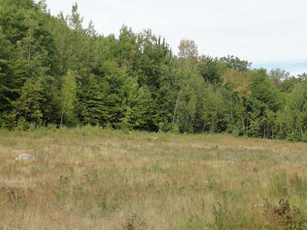 134 Town Farm Road Harrison, ME 04040 - Photo 18 of 33 Part of the field.